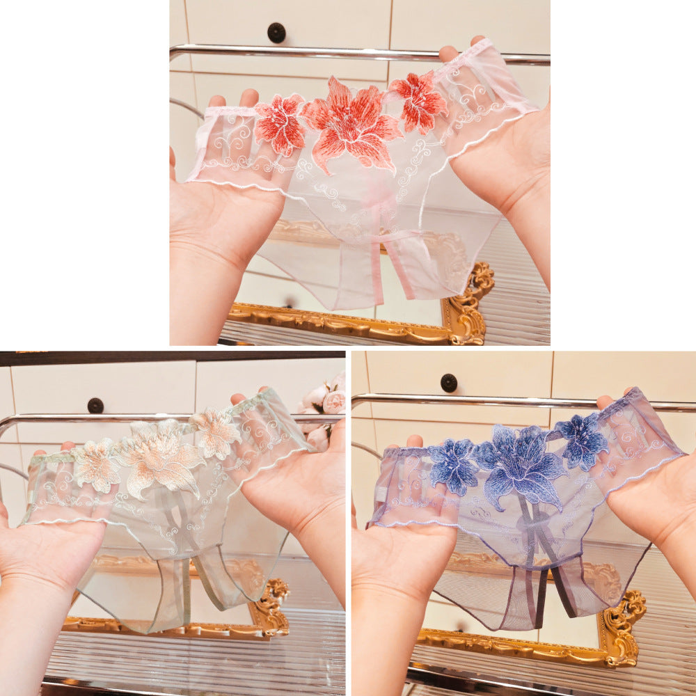 A dropshipping summer thin embroidery hollow open mesh transparent sexy underwear women’s traceless low-waisted new