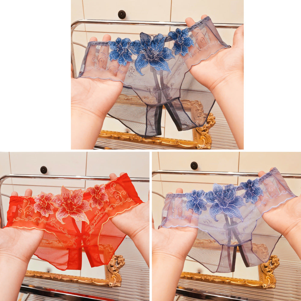 A dropshipping summer thin embroidery hollow open mesh transparent sexy underwear women’s traceless low-waisted new