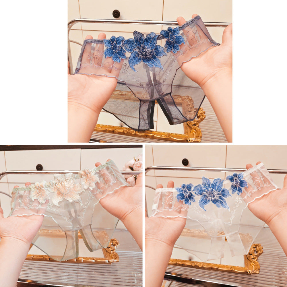 A dropshipping summer thin embroidery hollow open mesh transparent sexy underwear women’s traceless low-waisted new