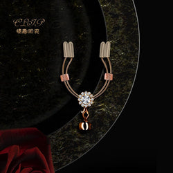 Image of erotic clamp clamp SM punishment flirting tool adult sex toys - toys