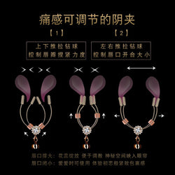 Image of erotic clamp clamp SM punishment flirting tool adult sex toys - toys