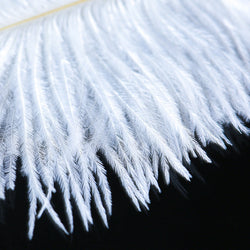 Image of Erotic feather tease stick ostrich feather shoot flirt feather brush sm supplies foreplay toys sex toys adult sex