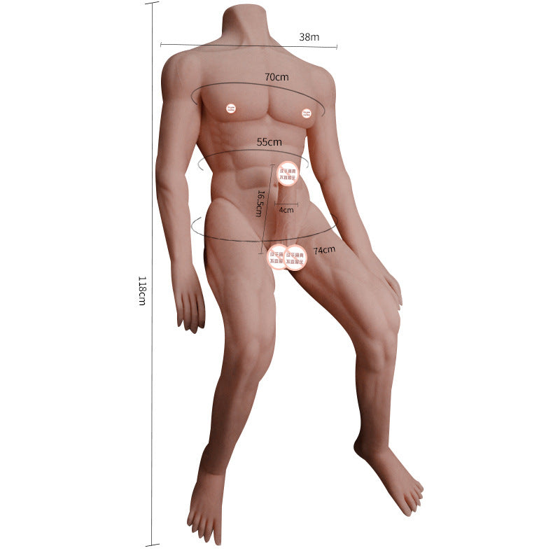 muscular hunk teen bust doll dildo penis female masturbator adult sex toys simulated phallus - toys