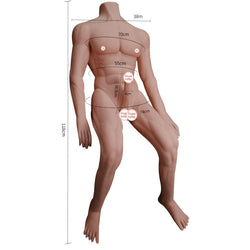 Image of muscular hunk teen bust doll dildo penis female masturbator adult sex toys simulated phallus - toys